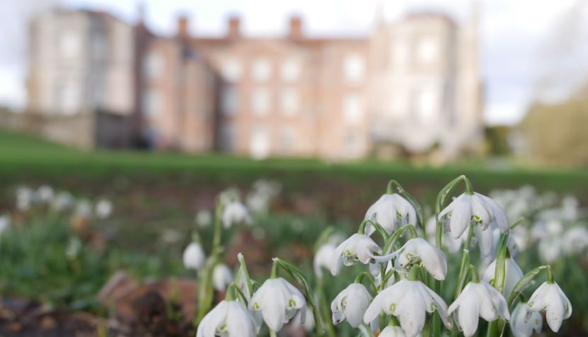 Mottisfont snowdrops - ©National Trust Images Catherine Hadler 